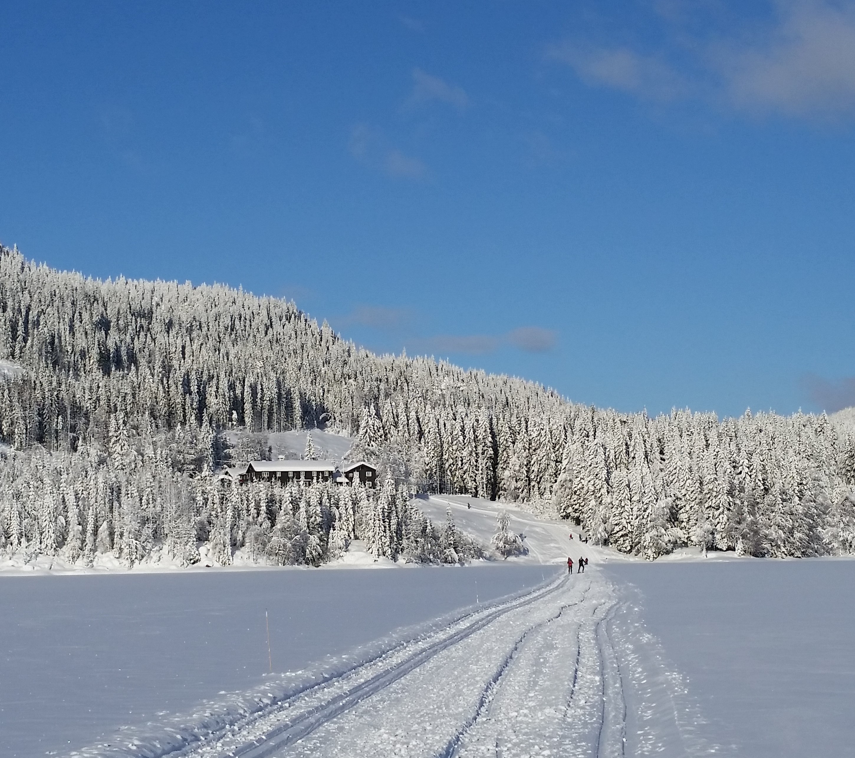 vinterlandskap