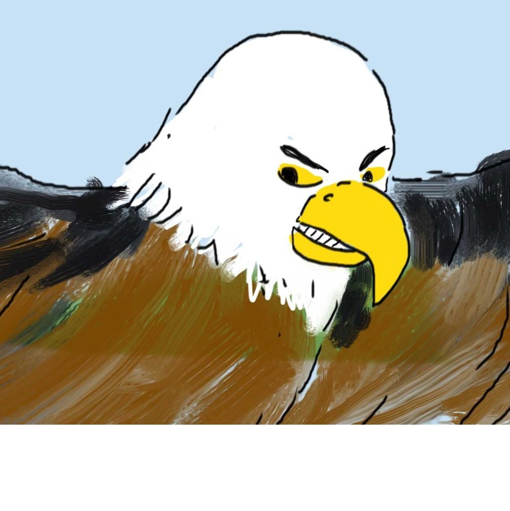 the american eagle