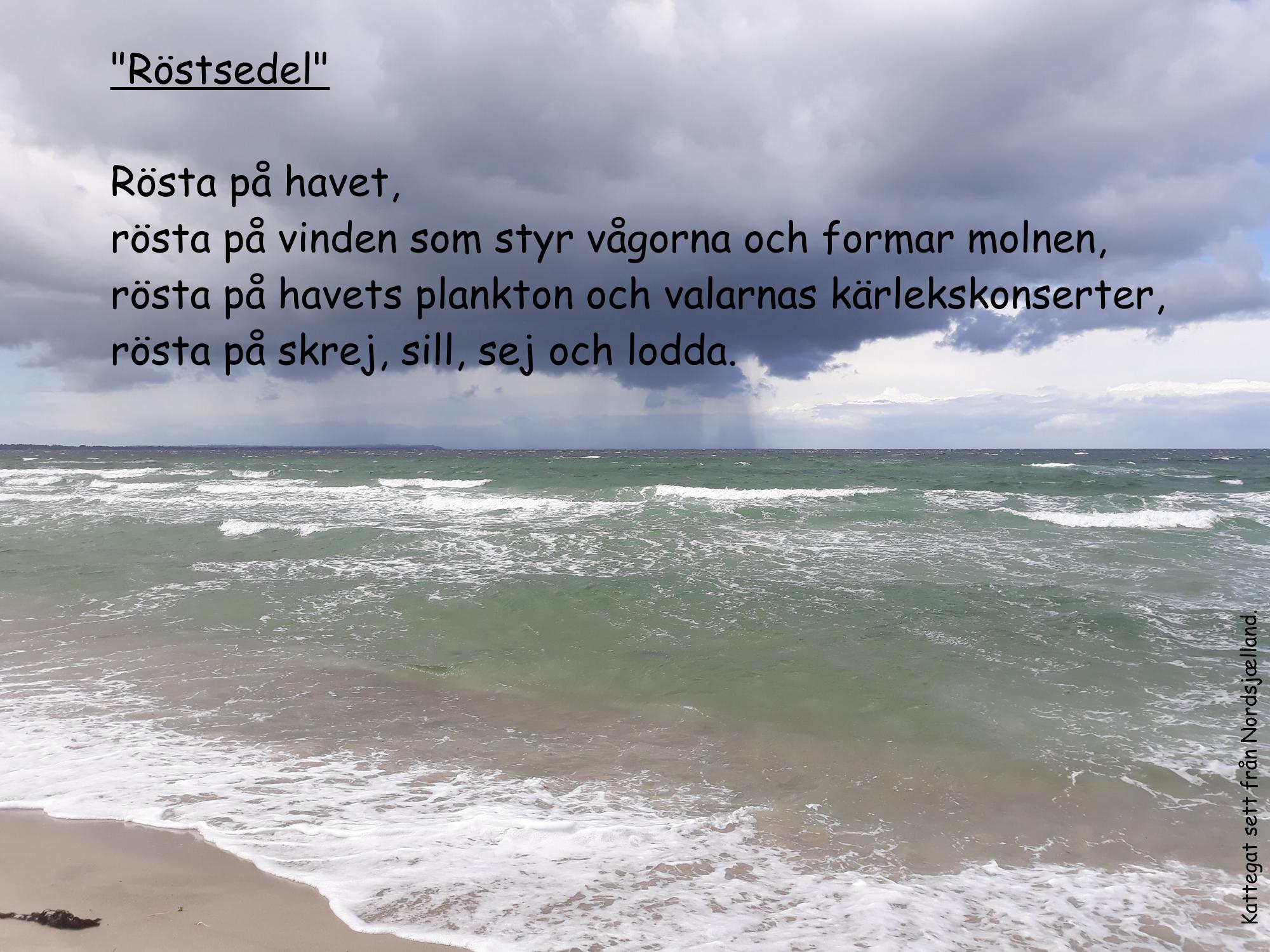 Havet