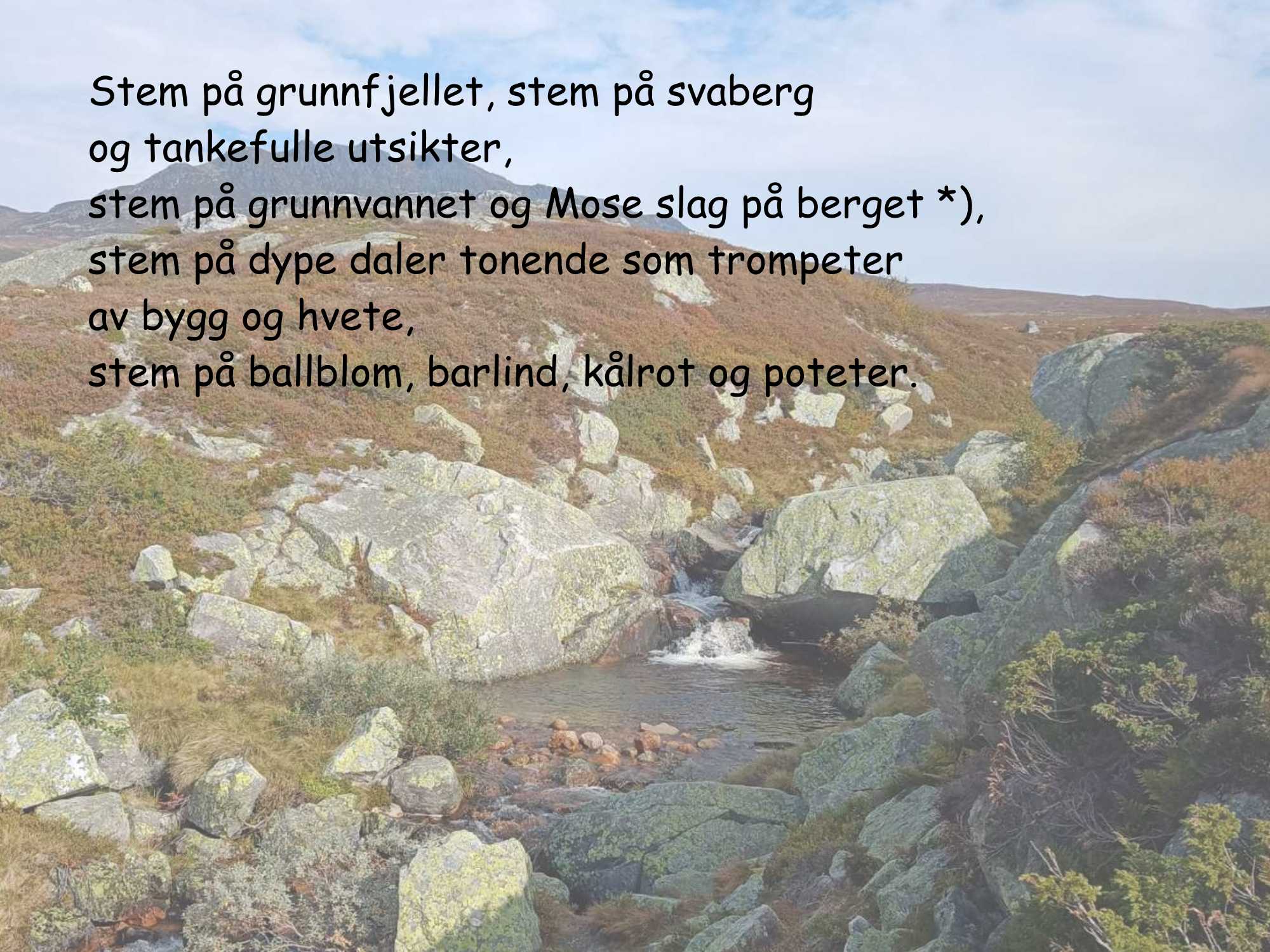 Fjellbekk