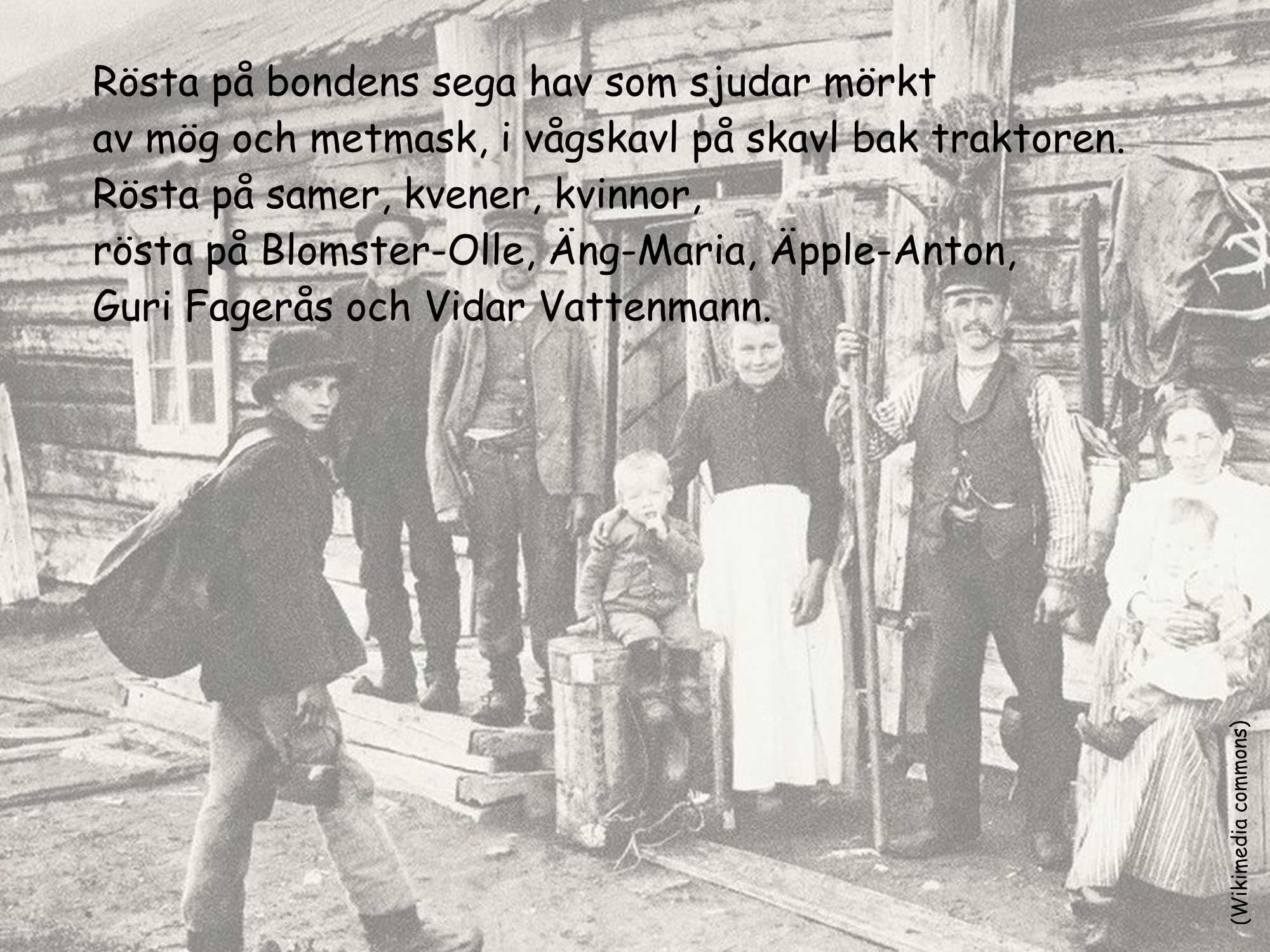 Skogen